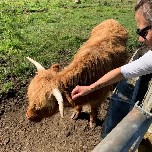 Down the Rabbit Hole - Picture 3 of 3